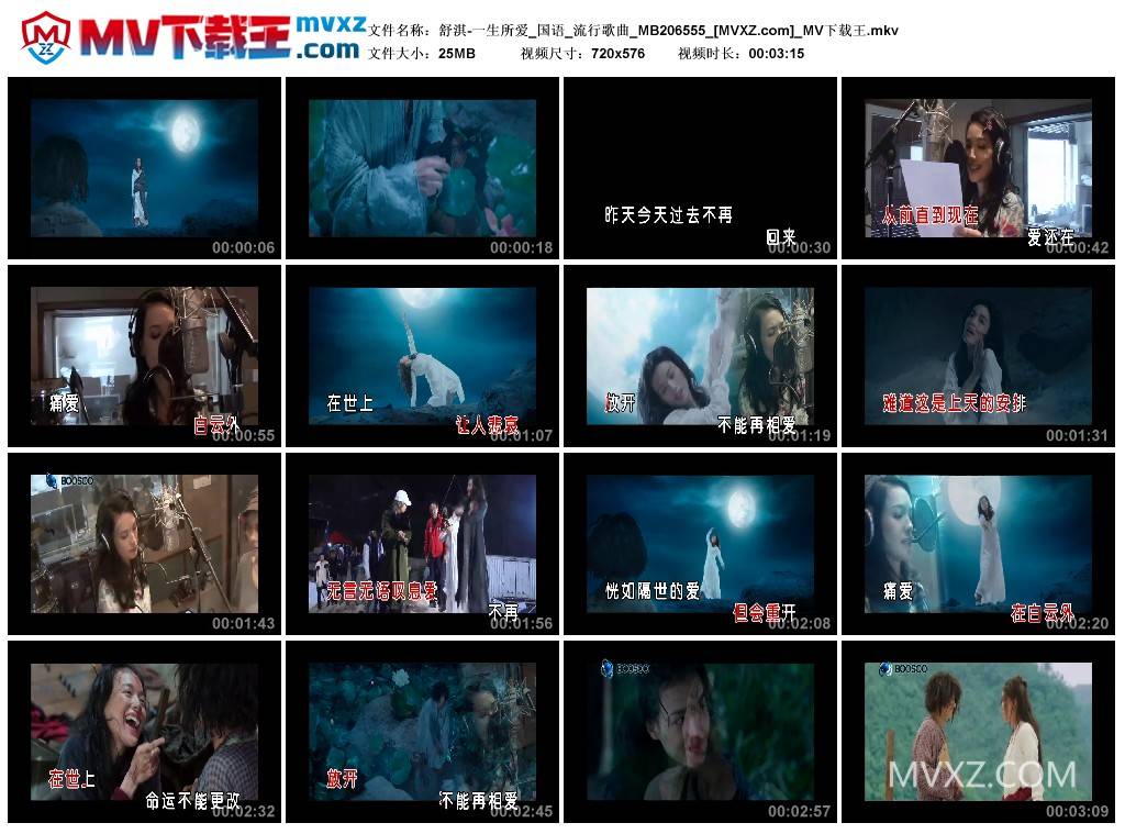 舒淇-一生所爱_国语_流行歌曲_MB206555